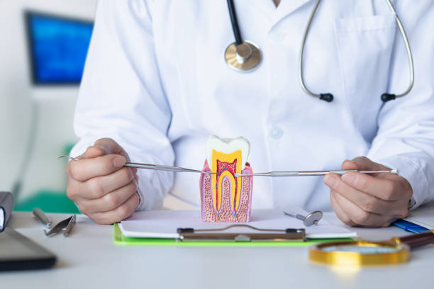 Best Emergency Dental Care for Sports Injuries in Woodbury, TN
